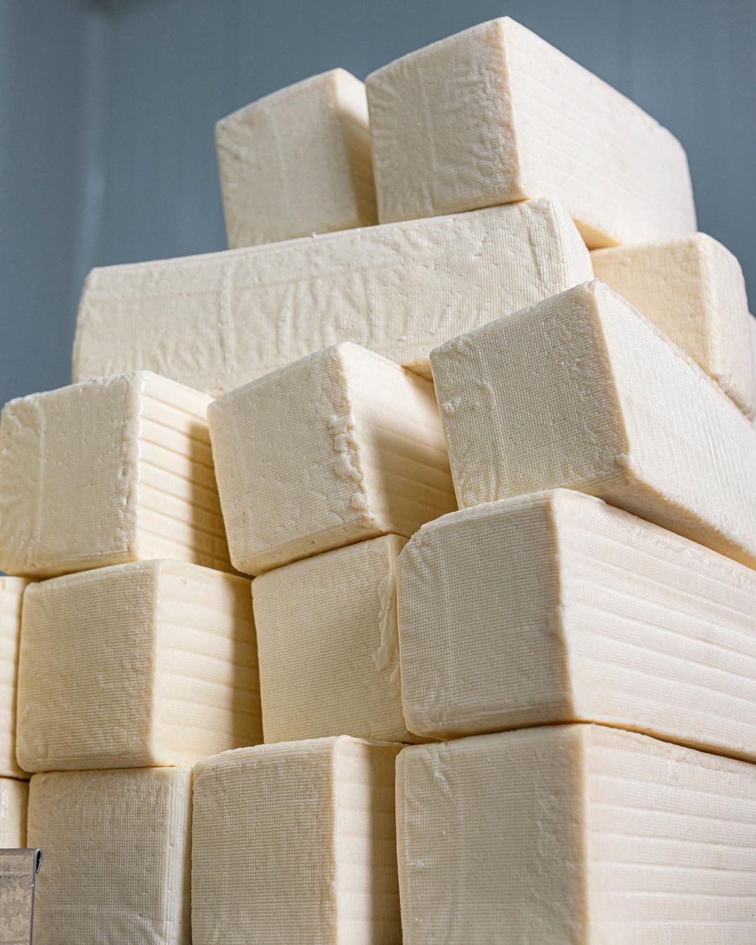Hard White Cheese 2,4kg